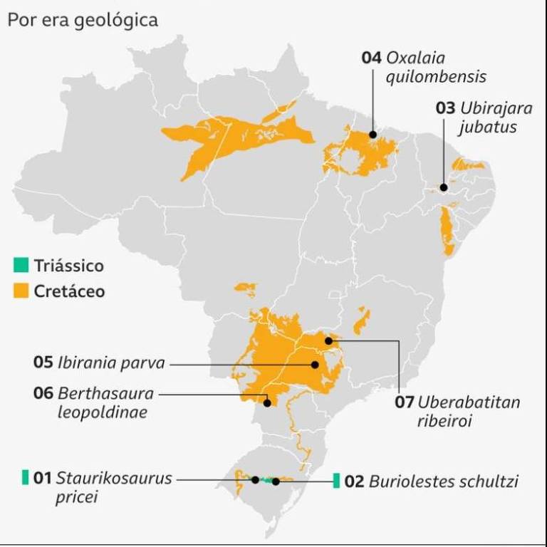 Mapa do Brasil com destaque para as regiões em que os sete dinossauros foram encontrados