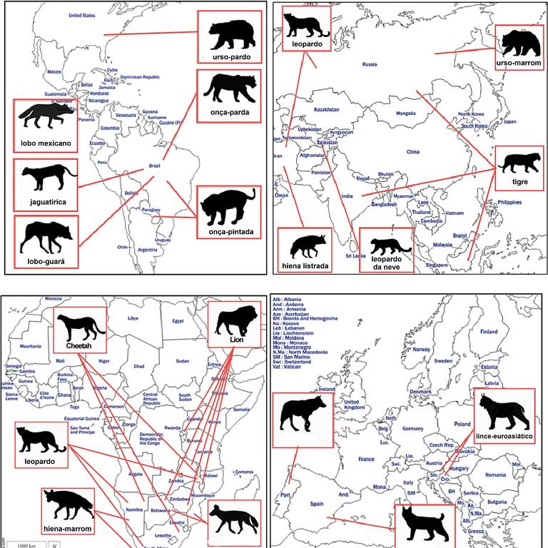 Mapas com os grandes carnívoros que têm sido reintroduzidos na natureza