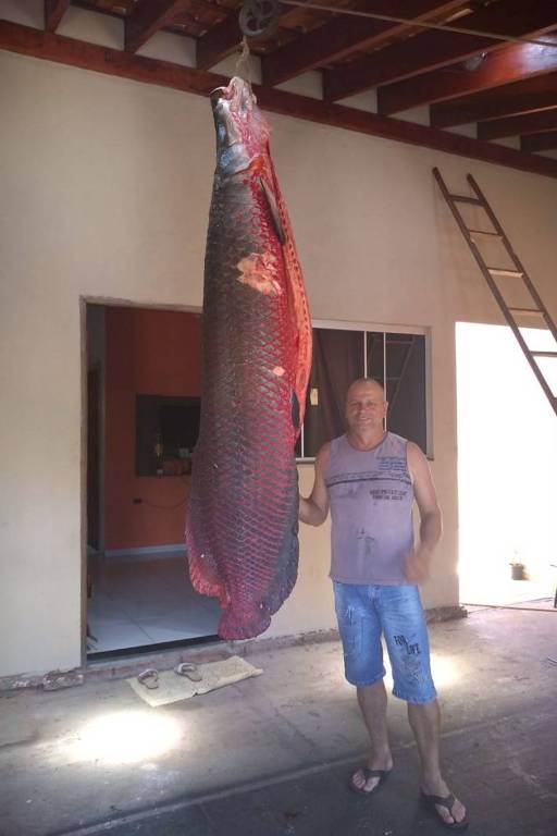 Homem posa ao lado de um grande peixe pendurado