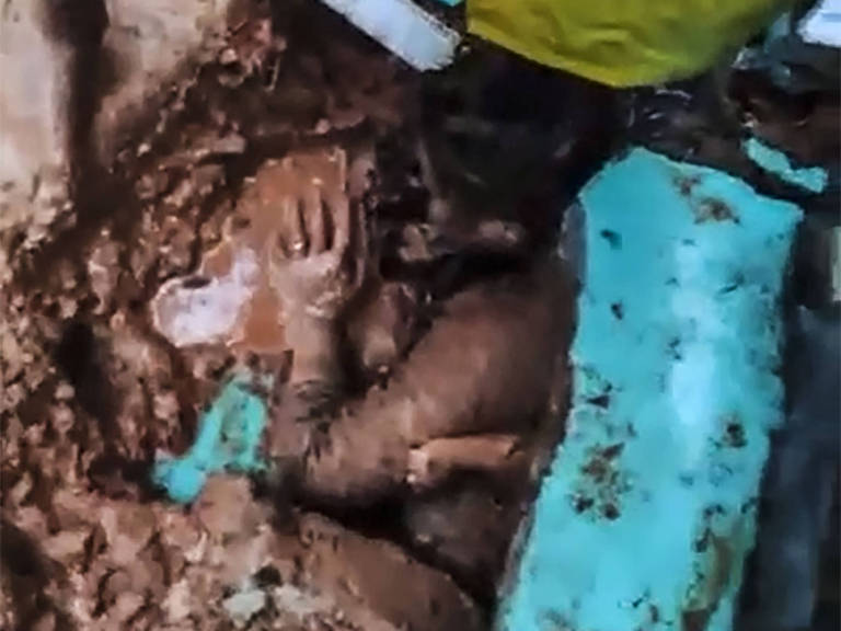 braços de uma mulher e braço de uma criança em meio a lama e pedaços de paredes
