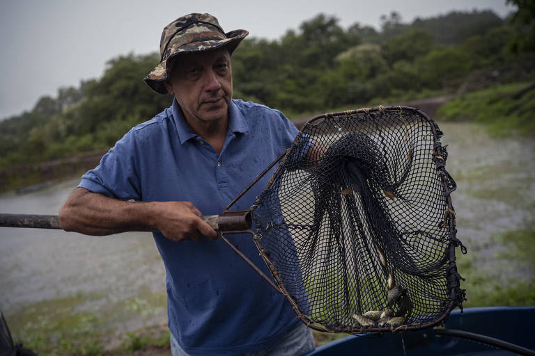 Seca no RS castiga lavouras, esvazia açudes e faz gado perder peso