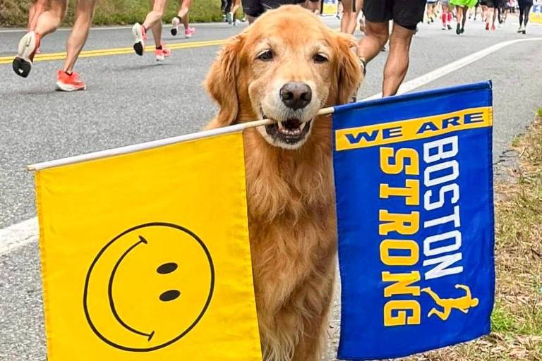 Morre mascote oficial da Maratona de Boston