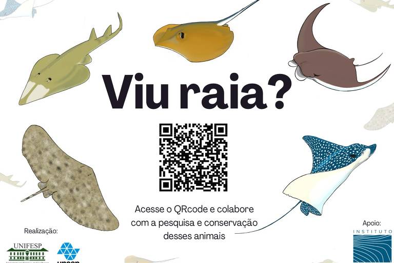 Adesivo com QR Code para conhecer mais sobre o projeto Viu Raia? de conservação de raias no litoral de SP