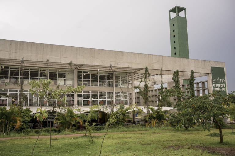 Meninas-prodígios trocam brinquedos pelo xadrez no litoral de SP -  07/11/2021 - Cotidiano - Folha