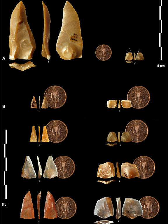 Quadro com comparação dos tamanhos de dezenas de pontas de pedra encontradas pelos cientistas
