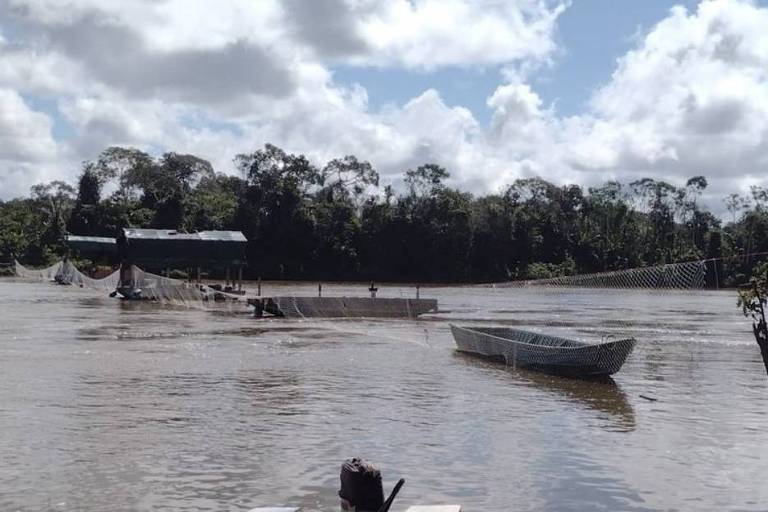 Rede de proteção para evitar a passagem de barcos do garimpo ilegal no rio Uraricoera, em Roraima, onde fica a base federal na Terra Indígena Yanomami atacada nesta quinta (23)