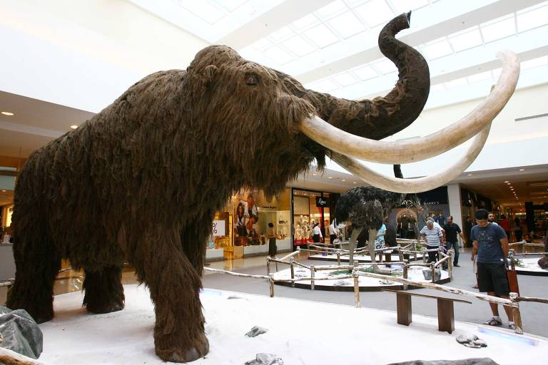 A empresa americana Colossal Biosciences anunciou, em 2021, o desejo de reintroduzir nas estepes de tundra da Sibéria e do Alasca o mamute lanoso (Mammuthus primigenius) que se extinguiu há 10 mil anos