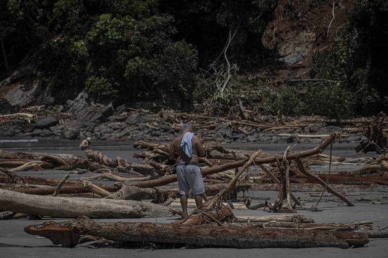 Oásis de ricos, praia da Baleia agora é cheia de destroços de árvores