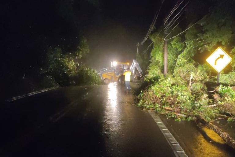 A imagem mostra uma rodovia no escuro e com uma árvore caída