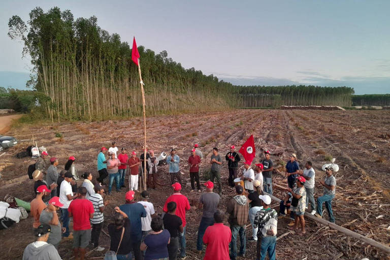 Trabalhadores rurais sem terra invadem fazendas de eucalipto da Suzano Celulose na Bahia, na madrugada de segunda-feira (27)