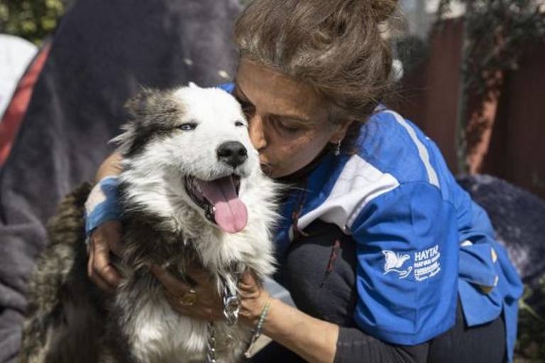 Cachorro é resgatado com vida em escombros 23 dias após terremoto na Turquia