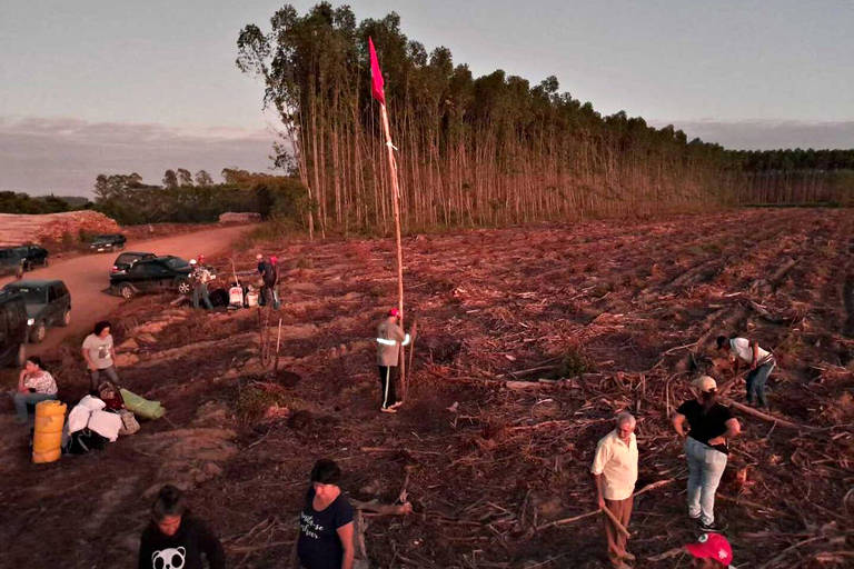 Trabalhadores rurais sem-terra invadem fazendas de eucalipto da Suzano Celulose na Bahia, na madrugada de segunda-feira (27)