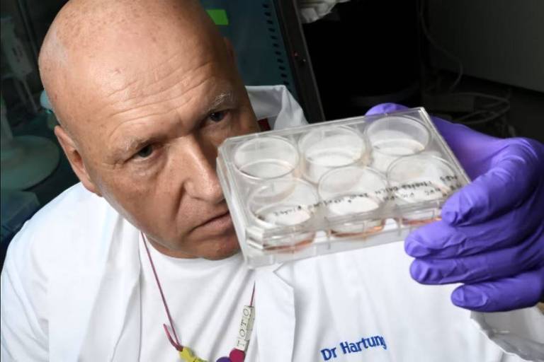 O cientista Thomas Hartung em seu laboratório com os recipientes onde os organoides cerebrais estão crescendo