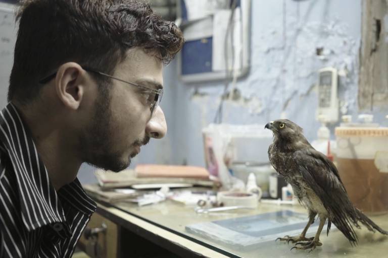 'Tudo o que Respira', no Oscar, vê laços entre homens e aves no caos de Nova Déli