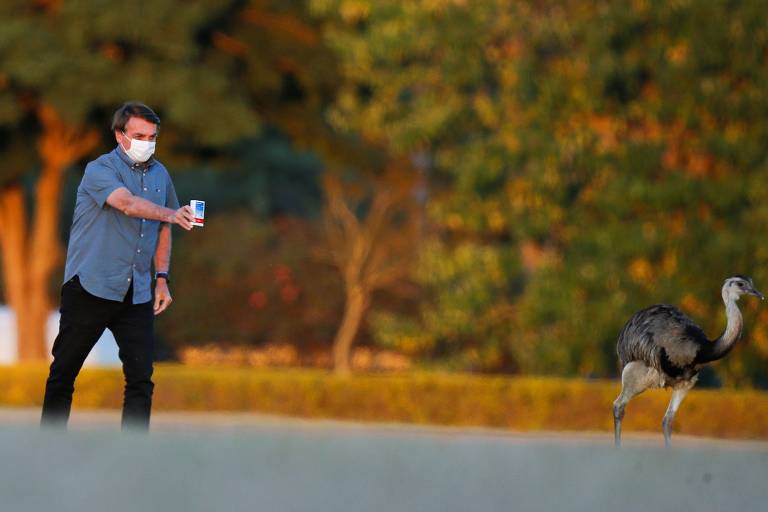 Bolsonaro também foi o grande incentivador do que ficou conhecido como Kit Covid, remédios cientificamente inúteis contra a doença; ele até ofereceu a cloroquina a uma ema do Palácio da Alvorada