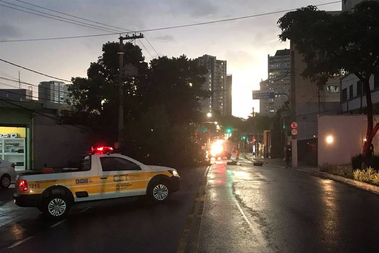 Queda de árvore interdita avenida na zona leste de São Paulo