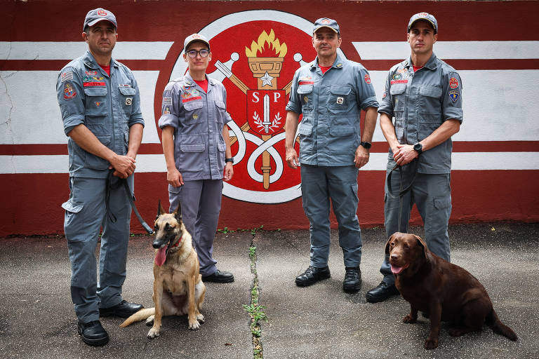 Como missão brasileira na Turquia, que incluiu 5 cães, salvou vidas