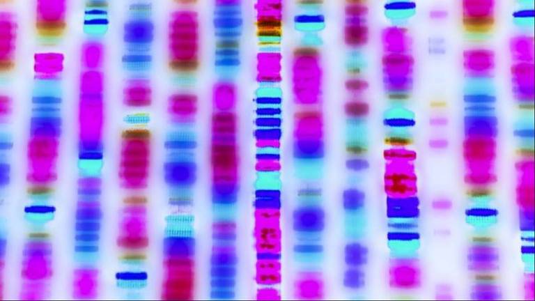 Imagem digitalizada de uma sequência de genoma humano, como pilares multicoloridos
