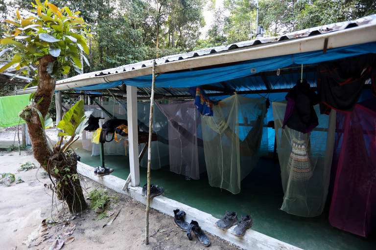 Acampamento 41, na Amazônia, estuda efeitos da crise climática na floresta
