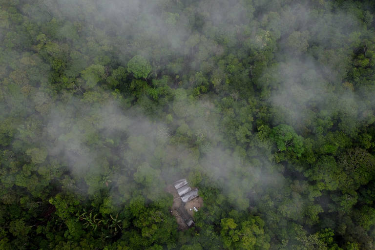 CRBio-03 - Conselho Regional de Biologia 3ª Região - O REDD (Redução das  Emissões por Desmatamento e Degradação florestal) ou, em inglês, Reducing  Emissions from Deforestation é um conjunto de incentivos econômicos