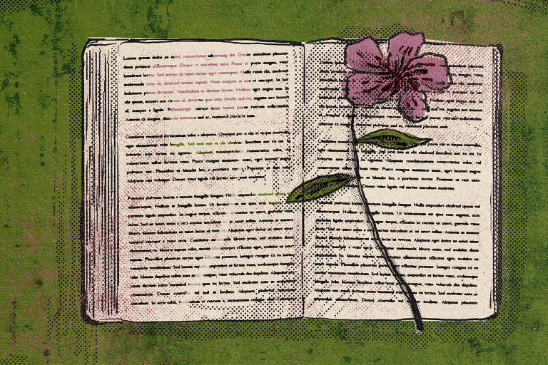 Na ilustração de Marcelo Martinez: uma flor seca com 5 pétalas rosas, entre as páginas de um velho livro aberto.