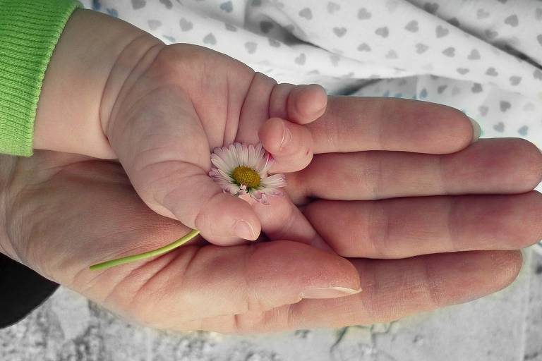A mão de uma criança segura uma flor sobre a mão do pai