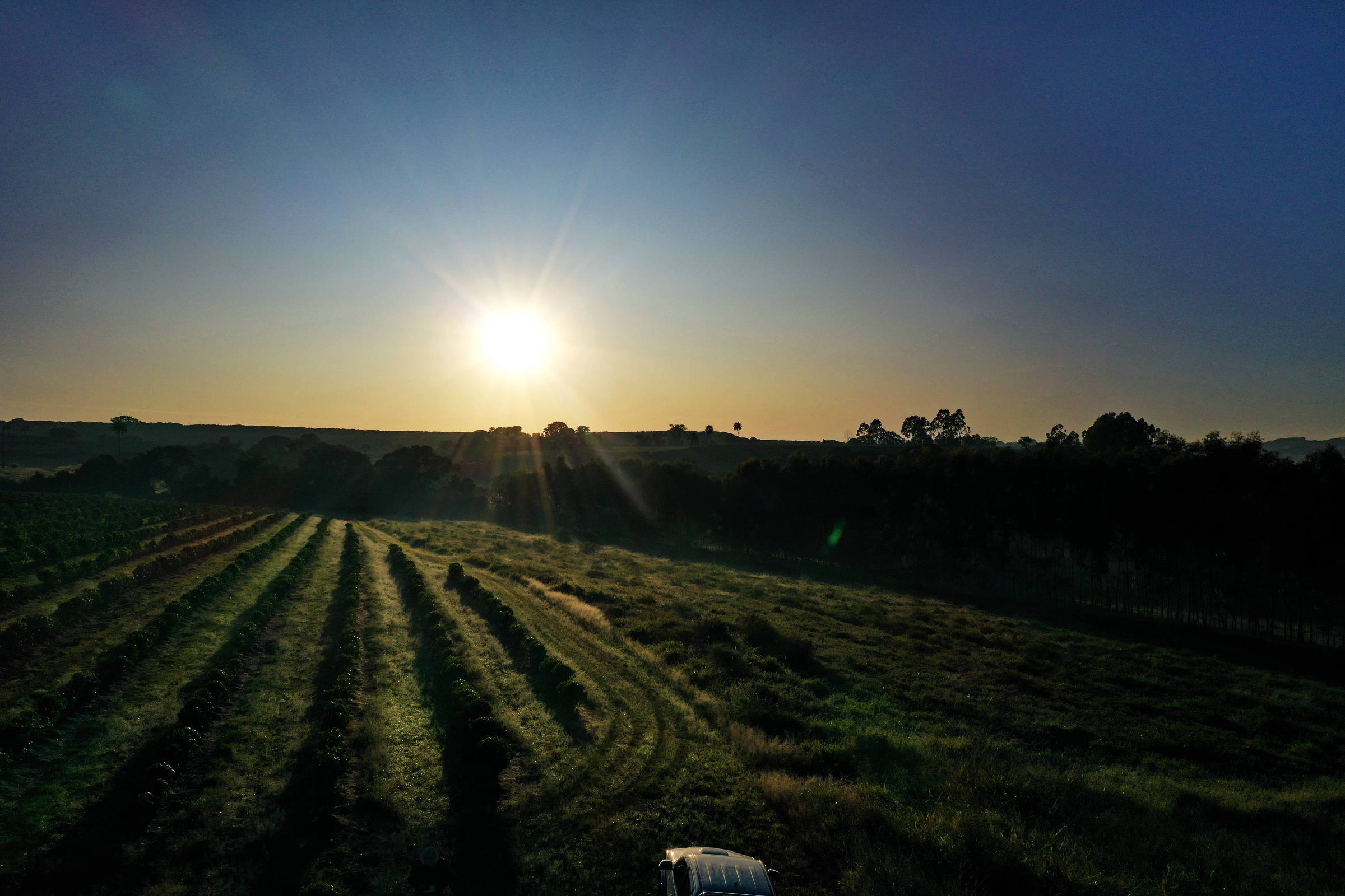 Higher prices support balance in the first two months – 03/14/2023 – Vaivém Higher prices support balance in the first two months – 03/14/2023 – Vaivém