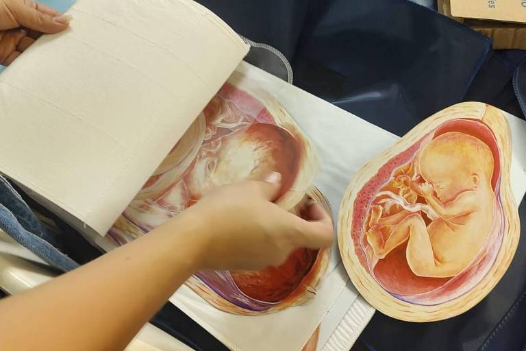 Mulher manipula placas com desenhos de fase gestacional de bebês