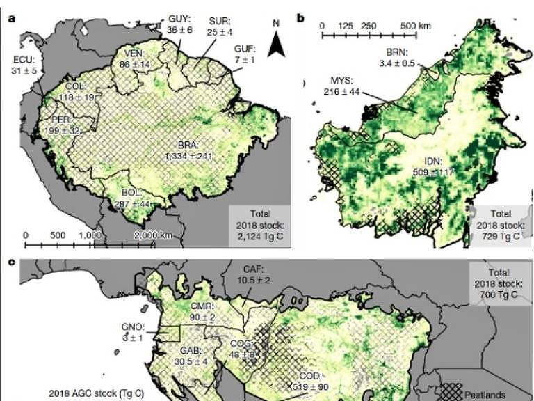 Três imagens mostrando mapas de desmatamento nas florestas amazônia, de Bornéu e do Congo