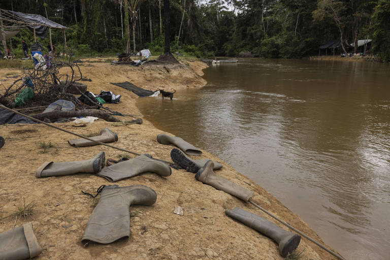 Para fugir da fiscalização, balsas de garimpo migram para Amazônia profunda  - 14/11/2022 - UOL TAB