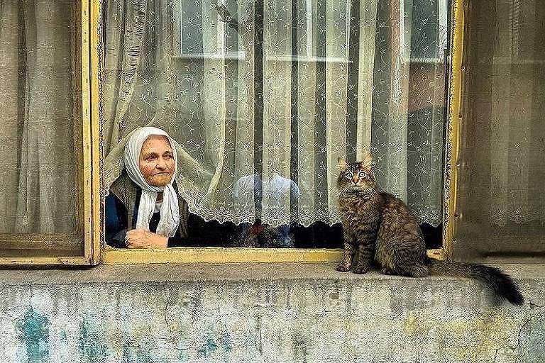 Perfil no Instagram publica fotos de gatos em janelas