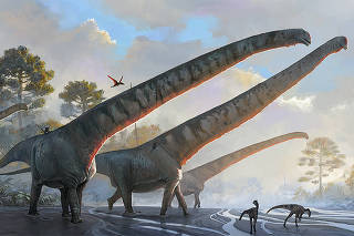 An artistÕs impression of Mamenchisaurus sinocanadorum. (Jlia d'Oliveira via The New York Times)