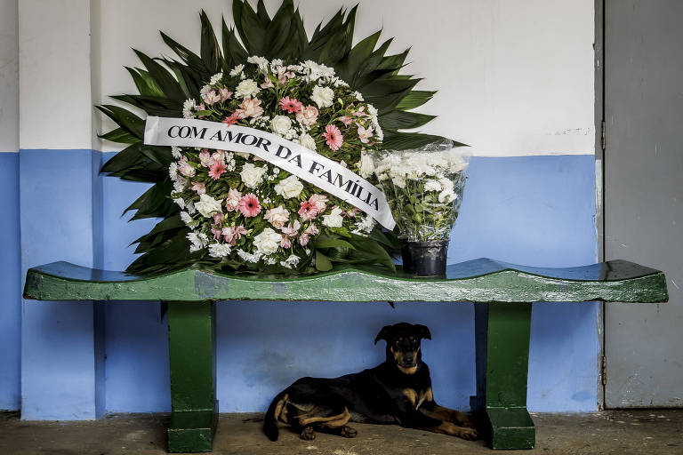 Coroa de flores em cima de banco; um cachorro está debaixo do assento