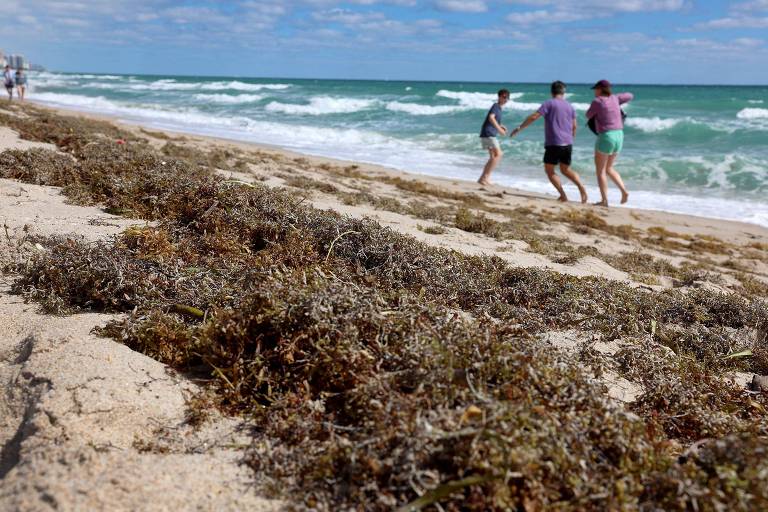 Família brinca na praia de Fort Lauderdale, na Flórida (EUA), já com a presença de uma grande quantidade de algas na areia