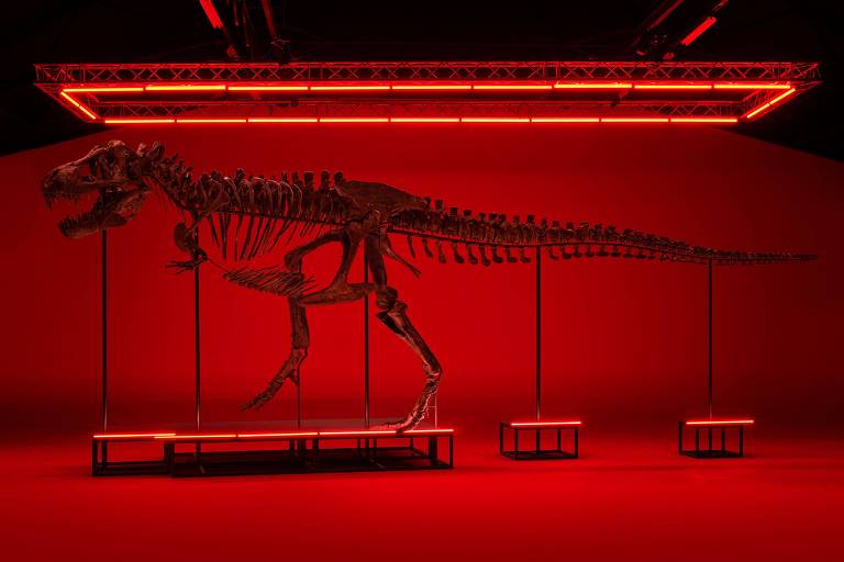 Leilão de T. rex 'Frankenstein' reacende debate sobre comércio de fósseis