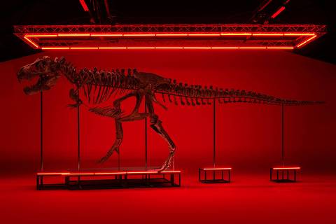 A handout photo made available on March 11, 2023 by the Koller Auction house shows a Tyrannosaurus-Rex skeleton dating back 67-million years which will be auctioned in Switzerland on April 18, 2023, marking the first such sale in Europe. - Towering 3.9 metres (12.8 feet) in the air, the skeleton dubbed Trinity has been valued at between six to eight million Swiss francs ($6.5-8.7 million), according to the auction catalogue. (Photo by Oliver NANZIG / KOLLER AUCTION HOUSE / AFP) / RESTRICTED TO EDITORIAL USE - MANDATORY CREDIT 