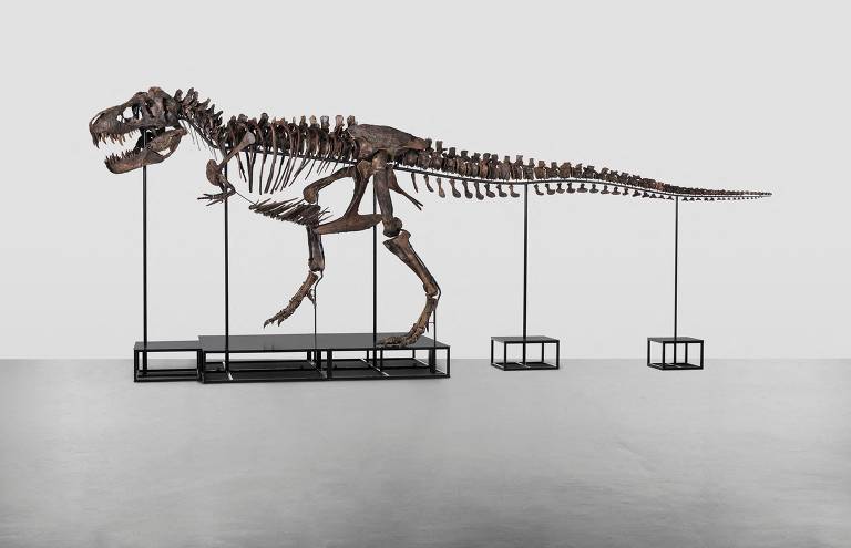 Trinity marcou o primeiro leilão de um T. rex na Europa