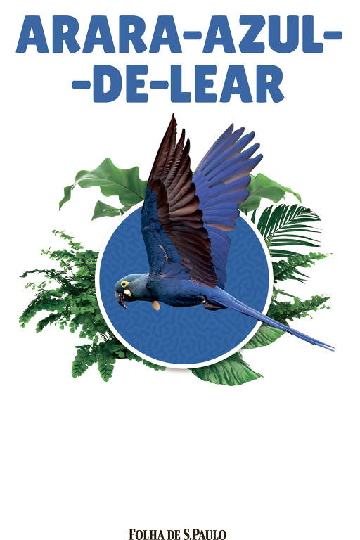 capa de livro ilustrado com arara azul voando