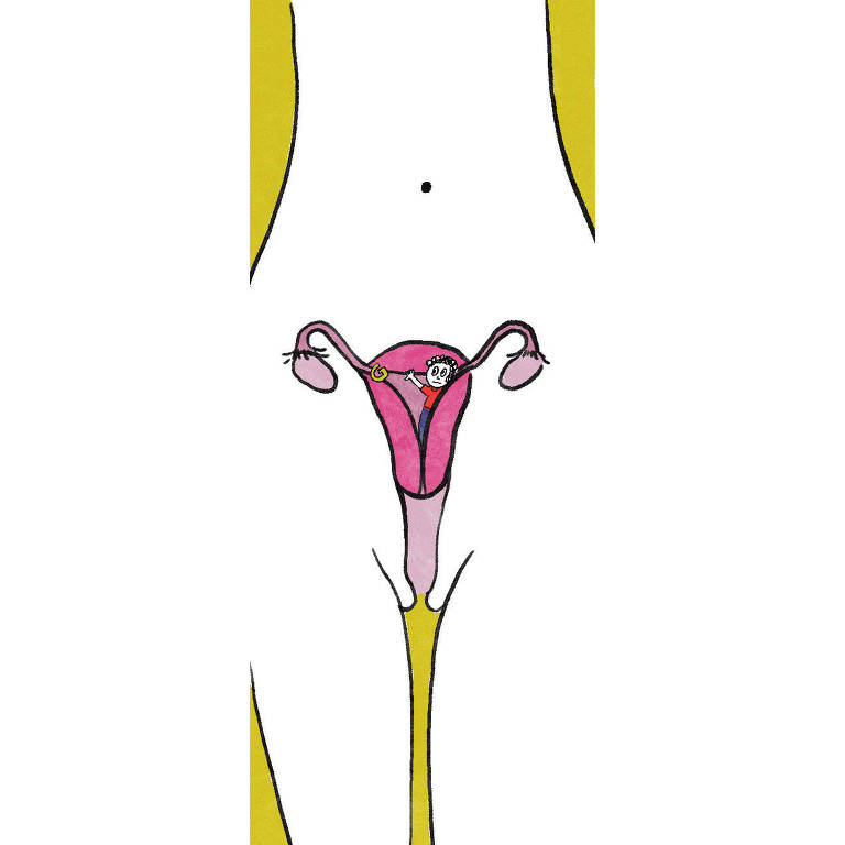 Ilustração da barriga de uma mulher, mostrando um homem dentro do útero tentando alcançar o ponto G.