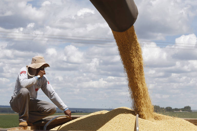 Apesar da quebra no RS, Brasil produz 155 milhões de toneladas de soja