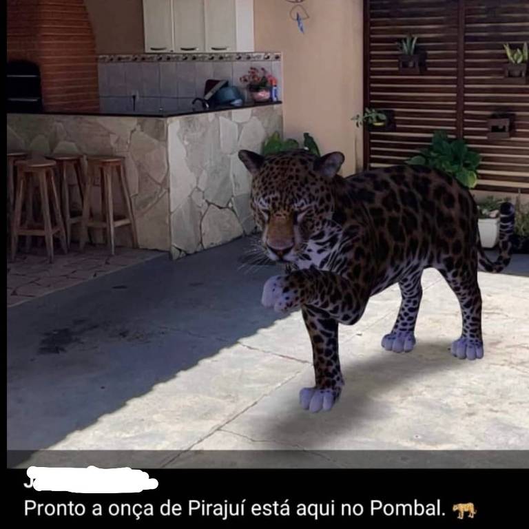 Um dos memes das redes sociais sobre a presença de uma onça em Pirajuí (SP); neste, o internauta colocou uma onça-pintada