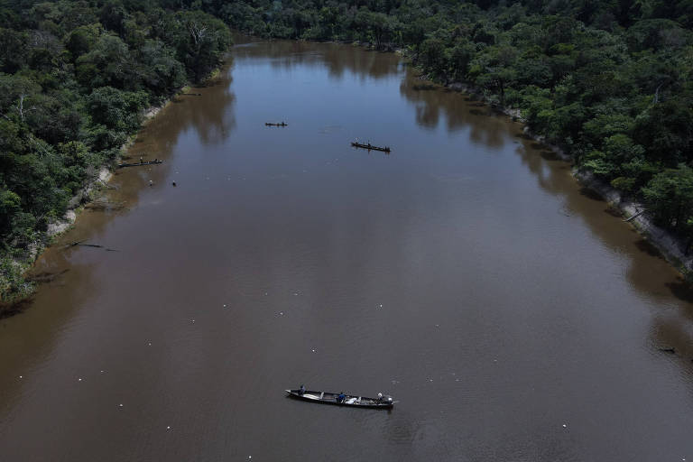 Vista de drone de três barcos pequenos de pesca em uma lagoa cercada por vegetação