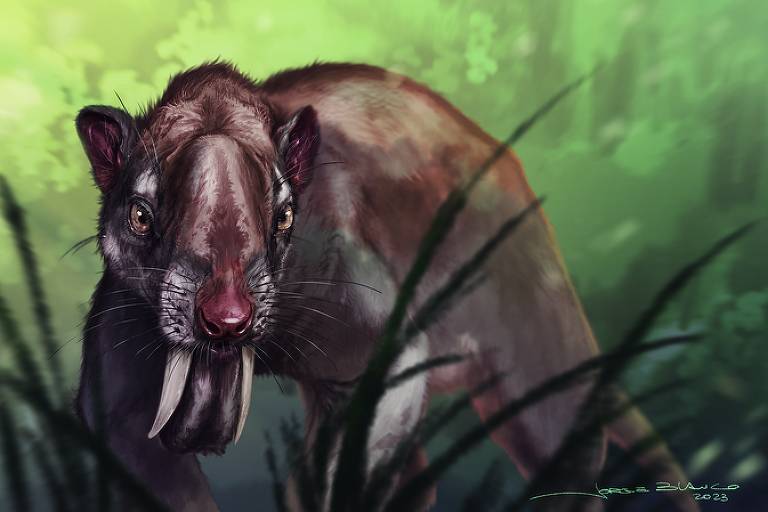 Estudo explica visão única do dente-de-sabre-marsupial argentino