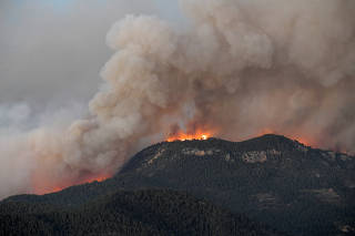 A wildfire burns parts of rural areas in Fuente de la Reina, Spain