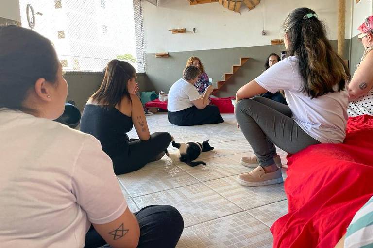 Participantes e gatos assistem à palestra sobre nutrição na Confraria dos Miados e Latidos 