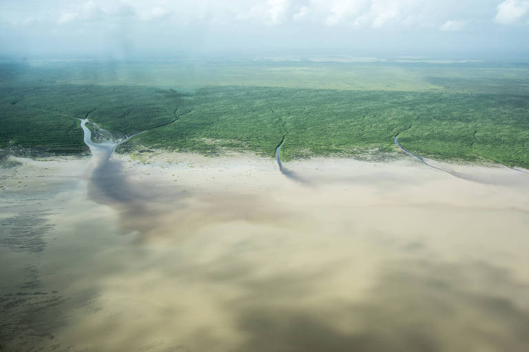 Vista aérea da foz do rio Amazonas mostra as águas barrentas do rio chegando ao mar. Ao fundo, a floresta verde e fechada