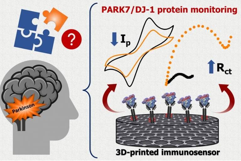Dispositivo é fabricado em impressora 3D comum, pode ser miniaturizado e identifica níveis da proteína PARK7/DJ-1, que está associada à doença