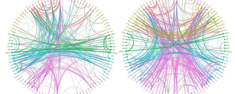 Diagramas mostram comunicação entre áreas cerebrais sem (esq.) e com ayahuasca (dir.)
