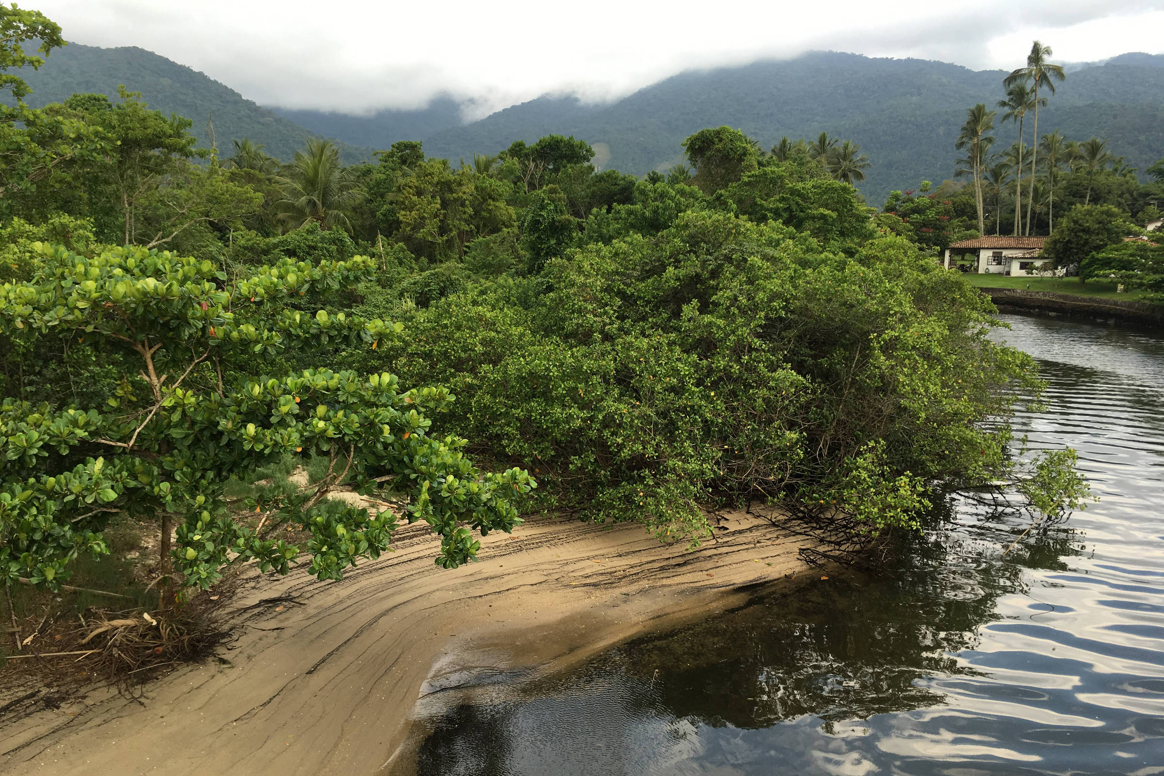 Work in Ilhabela stream without bidding generates impasse – 04/04/2023 – Environment