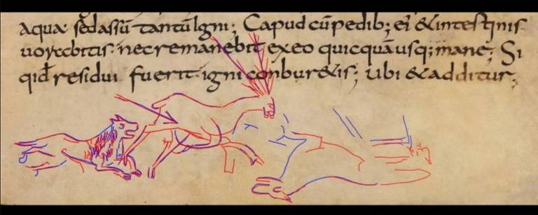 Cena de caça oculta em um manuscrito com 1.200 anos de idade
